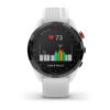 Garmin Approach S12